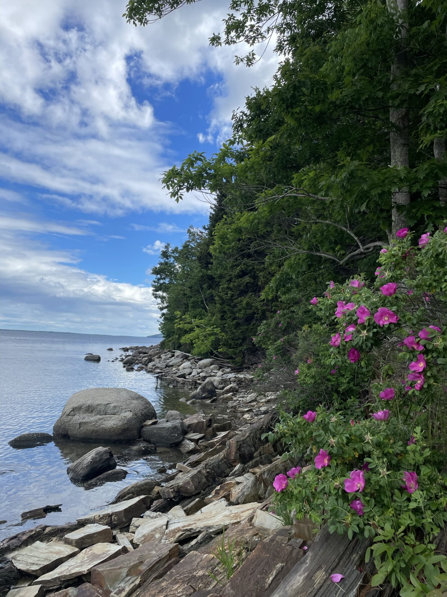 Water view at Moose Point State Park